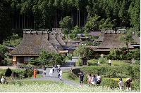 京都美山かやぶきの里とソバの花