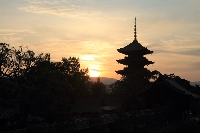京都　教王護国寺　日の出　五重塔　シルエット