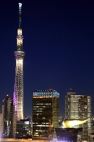 旅行で泊まったザ・ゲートホテル雷門の屋上テラスからの著作権フリーの写真素材。縦位置の写真の左に大きく東京の新観光名所、東京スカイツリーが紫と金色にライトアップされた姿で綺麗に夜空に浮かび上がる。その右下には浅草のこれも名物的建物のアサヒビールタワーと黄金に輝くフラムドールが存在感をアピールしている。