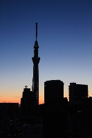 旅行で泊まったザ・ゲートホテル雷門の屋上テラスからの著作権フリーの写真素材。縦位置の写真の中央屋や左に大きく東京の新観光名所、東京スカイツリーがシルエット姿で綺麗にオレンジからネイビーブルーのグラデーションのかかった綺麗な朝焼けの空に浮かび上がっている。