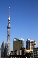 旅行で宿泊したザ・ゲートホテル雷門で撮った新観光名所、東京スカイツリーの著作権フリー写真素材。青空をバックに写真左にスカイツリーが白い綺麗な姿でそびえ立ち、その袂にはこれまでの浅草のランドマークでもあったアサヒビールタワーやフラムドールが見えます。