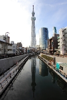 浅草からほど近い押上駅の直ぐ近く、西十間橋から見る新観光名所、東京スカイツリーの著作権フリーの写真素材。縦位置の写真の中央上半分には地上にそびえ立つスカイツリーの綺麗な姿が青空のなかに浮かび上がり、中央下半分にはスカイツリーが川面に反射して映り込んでいる。上下のスカイツリーを楽しめるスポットからの写真