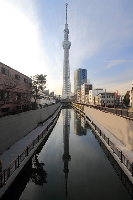 浅草からほど近い押上駅の直ぐ近く、十間橋から見る新観光名所、東京スカイツリーの著作権フリーの写真素材。縦位置の写真の中央上半分には地上にそびえ立つスカイツリーの綺麗な姿が青空のなかに浮かび上がり、中央下半分にはスカイツリーが川面に反射して映り込んでいる。上下のスカイツリーを楽しめるスポットからの写真