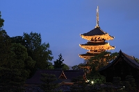 京都　教王護国寺　夜景　ライトアップ　世界遺産　五重塔