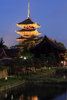 京都　教王護国寺　ライトアップ　夜景　五重塔