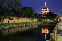 京都　教王護国寺　五重塔　池　写る　ライトアップ
